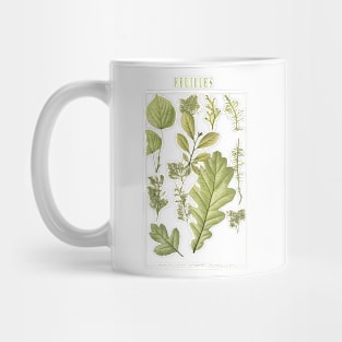 Green herbs and leaves Mug